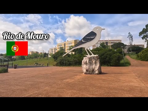 Conheça Um Pouco Do Rio De Mouro