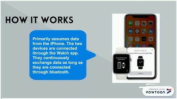 Apple Watch Series 5 Computational Artifact