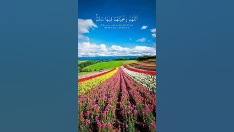 دعواهم فيها سبحانك اللهم وتحيتهم فيها سلام } بصوت القارئ عبد الرحمن مسعد