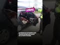 ¡Insólito! Transportaban dos vacas dentro de un automóvil 🐄🚗😲 | #LaRazónViral