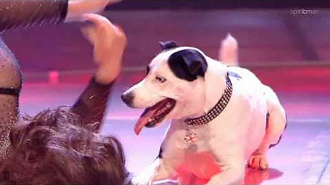 Jackie Prescott & Tippy Toes (HQ) Semi-final BGT 2...