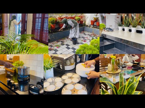 A Day In My Life/ Breakfast/ Lunch Preparations#plantssettings#cleaning#subinanishad thumbnail