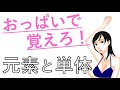 【高校化学】おっぱいで元素と単体の見分け方をマスター