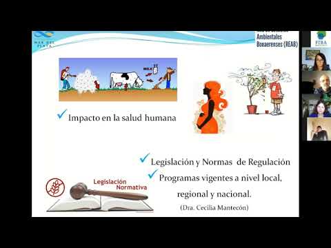 WEBINAR: Área Disponibilidad