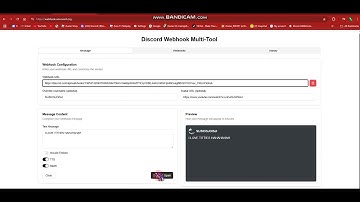 Discord webhook Multi-tool bot spam test [Inculdes TTS And Embed Input]