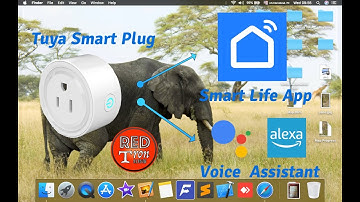 Tuya Smart Plug Configuration With Smart Life App and Voice Assistant