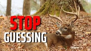 Celebrity You Don’t Understand Deer Behavior (Fix This Before Season) Net Worth