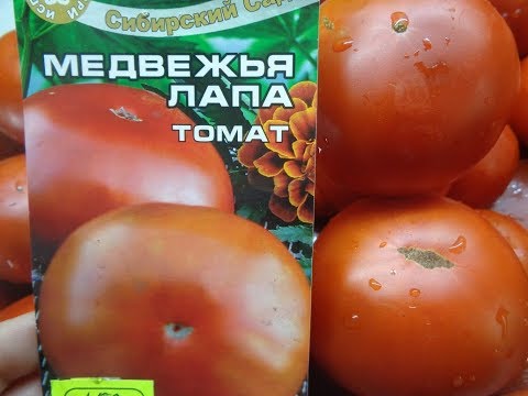 Video: Korv I Tomatdej