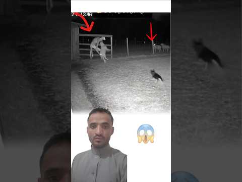 ياالله لطفك ظاهرة غريبة شيء لم نره من قبل يظهر في مزرعتة ويختفي بالخروف في ثوان اكسبلور Shorts