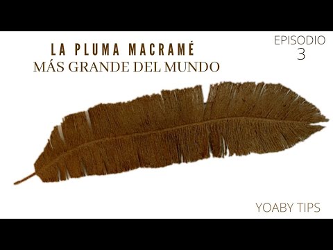 🎬 Video relacionado con plumas decorativas grandes