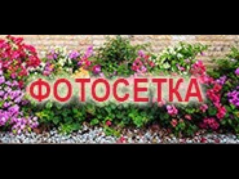 Фотосетка "Мечта" для забора.