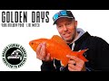 GOLDEN DAYS - LIVE MATCH FISHING AT YORK RAILWAY POND