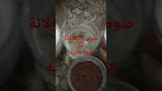 صوص الشيكولاتة مع كريم شانتيه