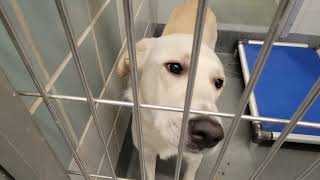 acs A655048