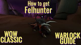 WoW Classic/How to Felhunter/ Warlock Seeking Strahad - YouTube