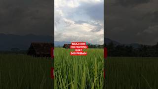 NGAJI DIRI #vidioshort #fromkatabijak #katahatimotivasi