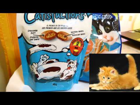 Симптомы при смене зубов у котят!Специальный корм и прикормки!