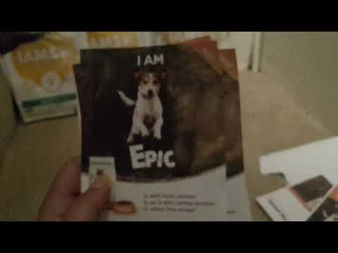 IAMS CAT FOOD
