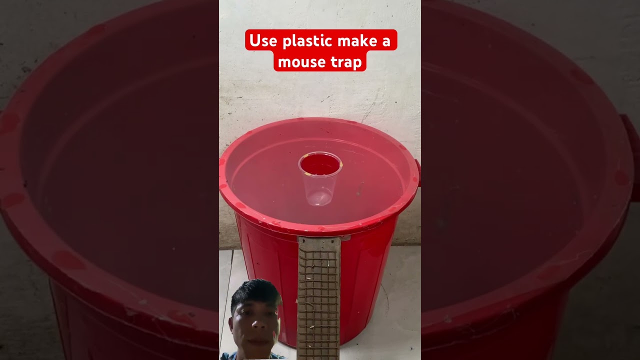 Use plastic make a mouse trap 