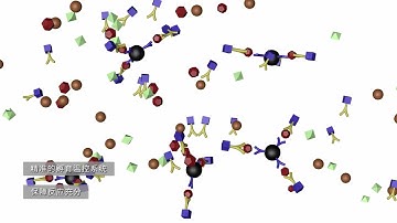 Norman CLIA analyzer- CL5 in Chinese