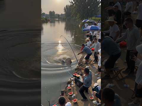 #fishing #大魚 #钓鱼 #carpfishing #撈底 #bassfishing  #户外钓鱼 #fis #野钓 #钓鱼生活 thumbnail
