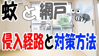 蚊 網戸が破れてないのに部屋に入る原因と網戸の正しい使い方