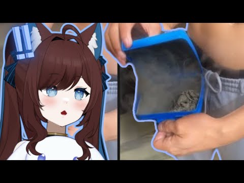 How Does This Keep Happening?!?! || Daily Dose of Internet Reaction