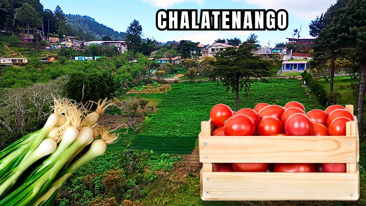 CHALATENANGO TIERRA BENDECIDA de EL SALVADOR | Abundantes cultivos
