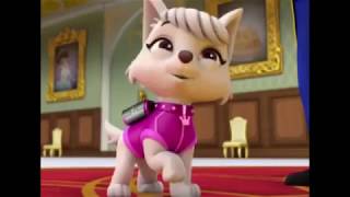 Camp Challenge Season 50 Theme