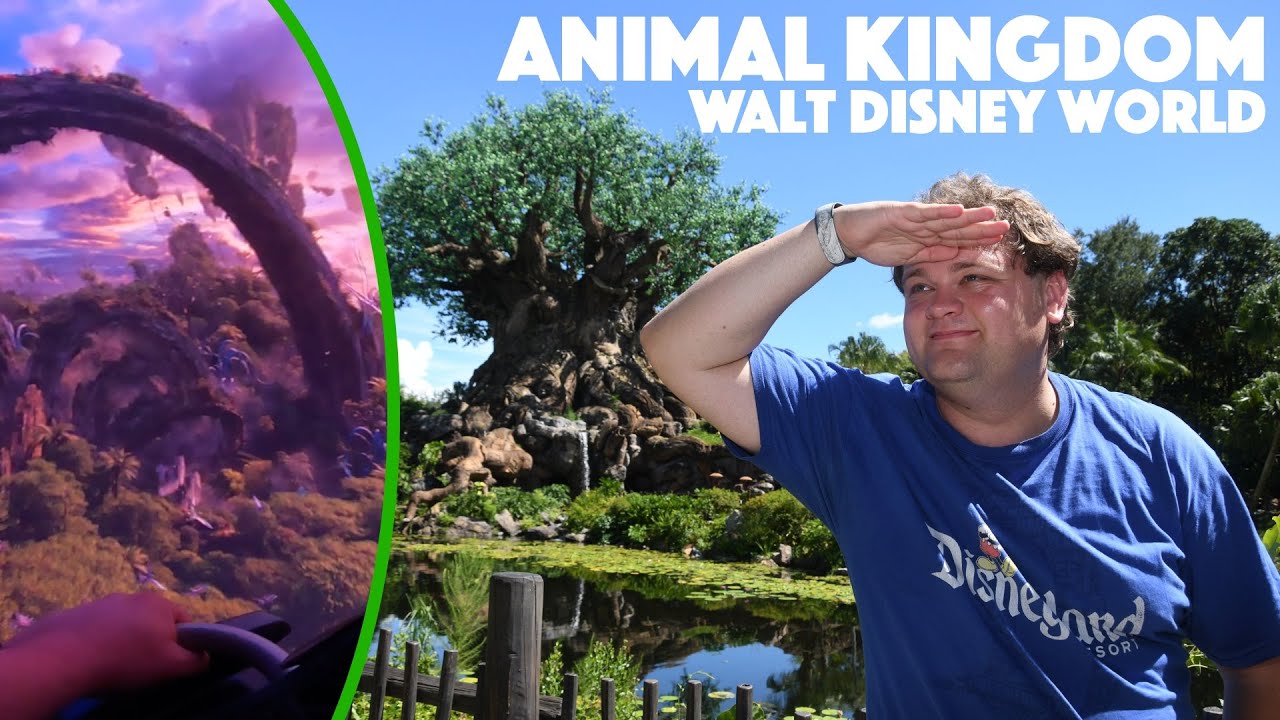 Animal Kingdom Walt Disney World - Beste attractie ter wereld! - Pandora World of Avatar - Orlando