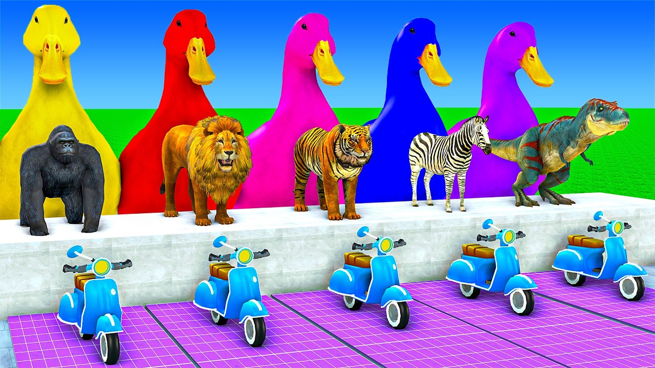 Long Slide Game With Tiger Bull Bear Hippopotamus Elephant - 3d Animal Game - Funny 3d Animals