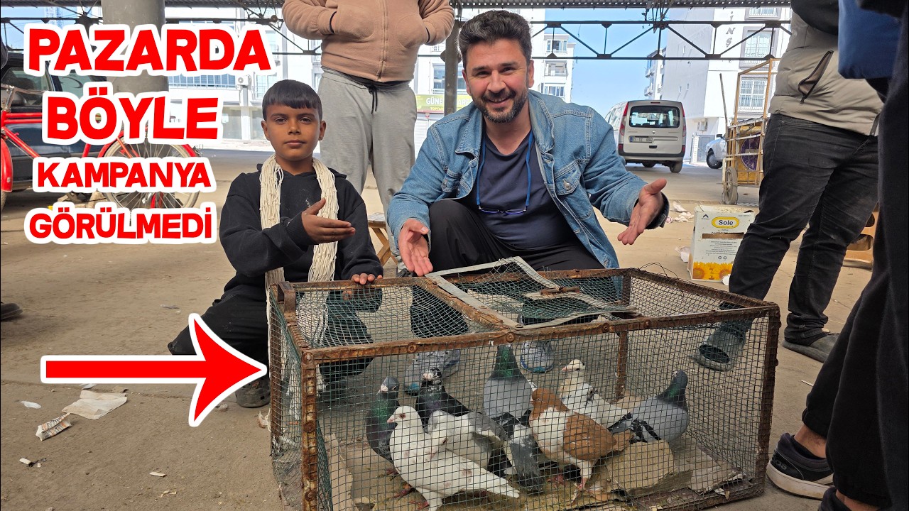 Bir Güvercin Alana Bir Güvercin Bedava 