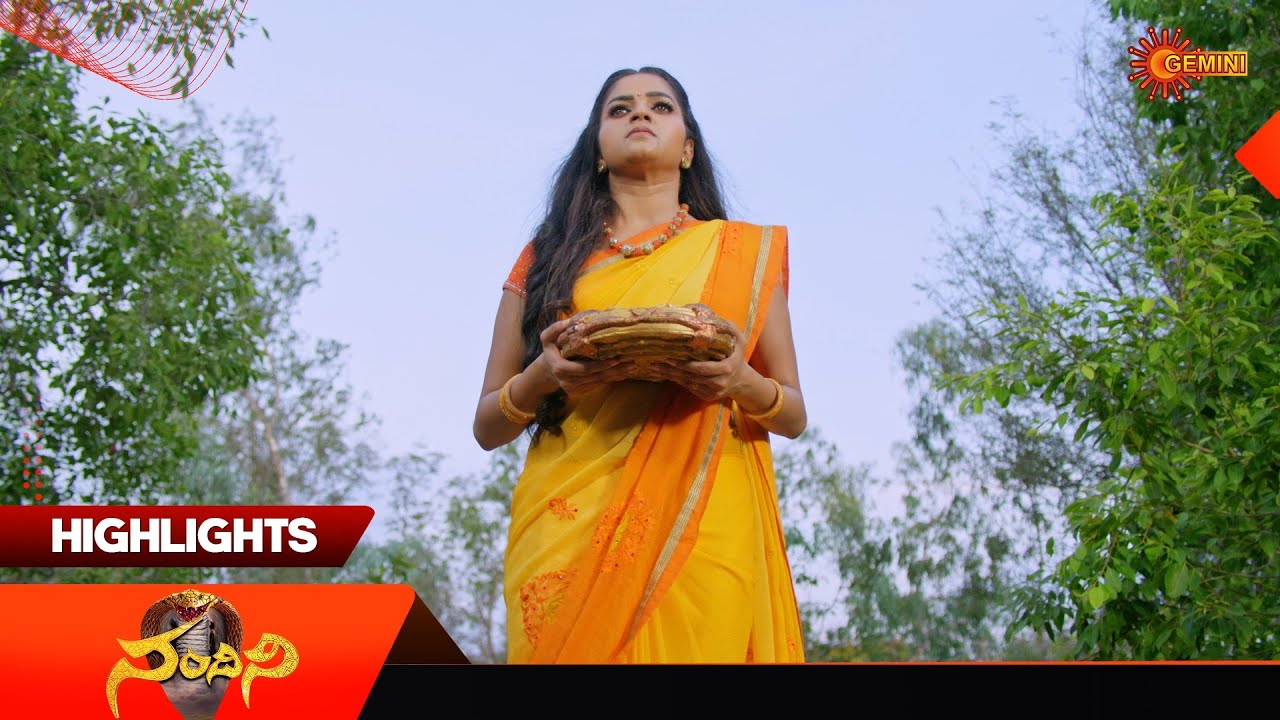Nandini - Highlights of the day | Watch full EP Sun NXT | 01 Jan 2026 | Gemini TV