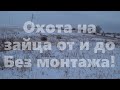 Охота на зайца от и до - Без монтажа!