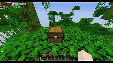 MINECRAFT 1.16.5 DUPE *WORKING* (Wurst Client)