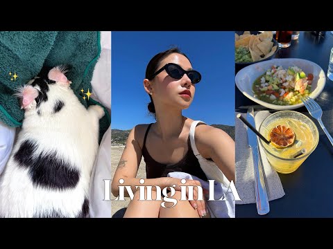 🇺🇸소소하게 LA동네 엄마 효도관광 시켜주는 브이로그vlog <strong>모네</strong> 귀청소✨ 말리부비치, 루프탑 바🍸