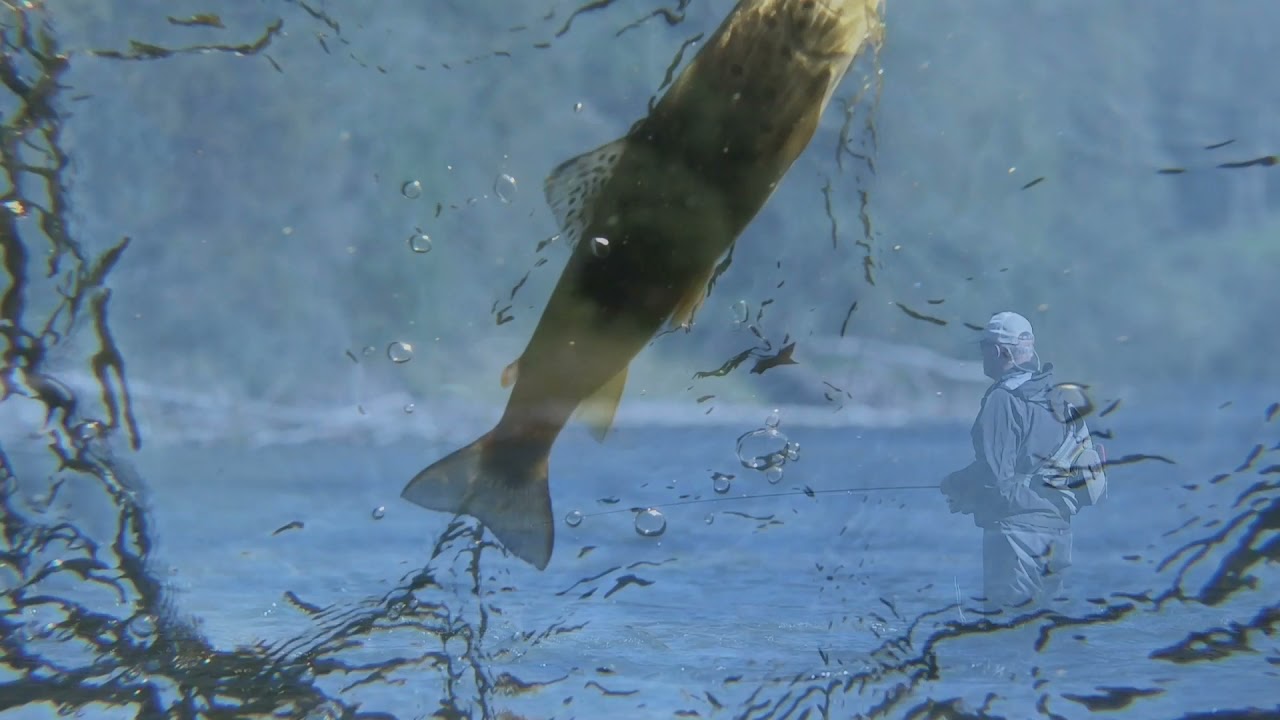 Marks Fly Fishing
