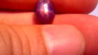 Star Purple.3GP