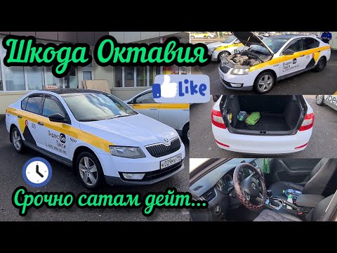 Video: Тажрыйбалуу автомат Авелин Оуэн (Австралия)