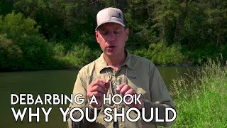 Debarb a Hook or Fly | Why You Should