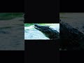 part-7 kaartar ka yuddhseason 1eknovin paristhitivanyajeev bachaav hindi#worldlife#animals#crocodile
