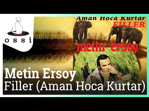 Metin Ersoy - Filler (Aman Hoca Kurtar)