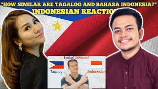 How Similar are Tagalog and Indonesian? | Reaction Video to @Langfocus