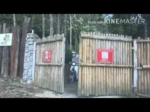 GIBBON RETREAT BENTONG
