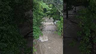 Motions Creek at Auckland Zoo (9 May 2023)