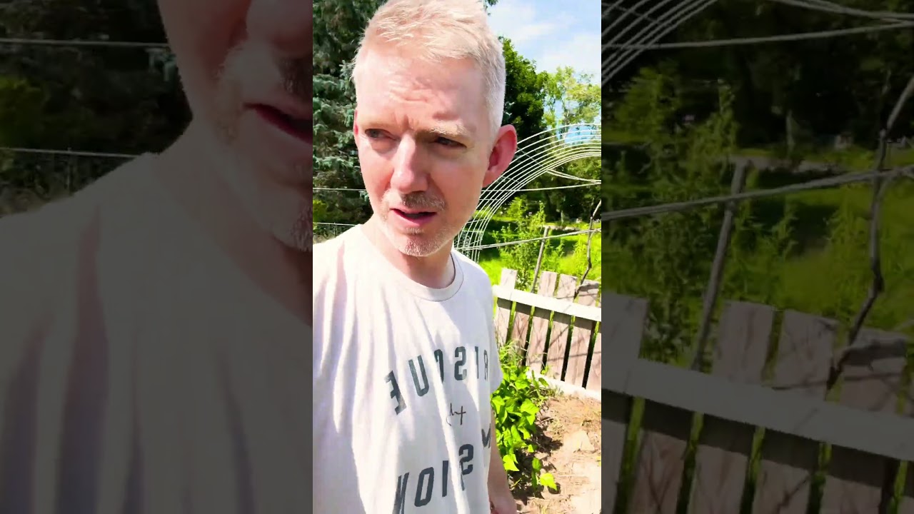How to be a gardening influencer