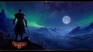 Идем в Дрифтвуд #46 \ Divinity Original Sin 2