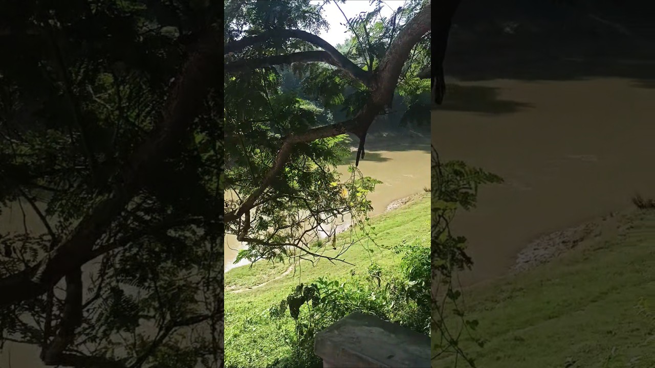 seefeelenjoy the peaceful rural life of West Bengal 