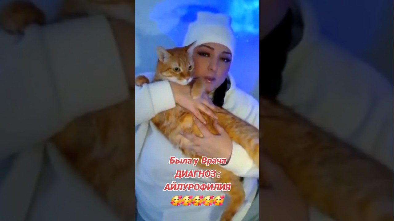 ДИАГНОЗ АЙЛУРОФИЛИЯ Рима Пенджиева 