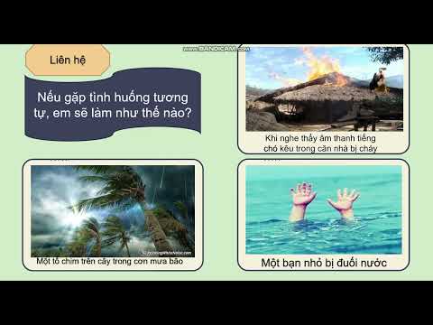 Video Bầy chim chìa vôi - Ngữ văn 7 - Bài giảng điện tử -... - youtube